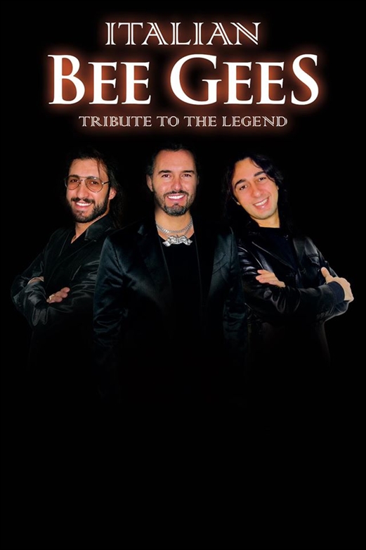 Tributo a Bee Gees 